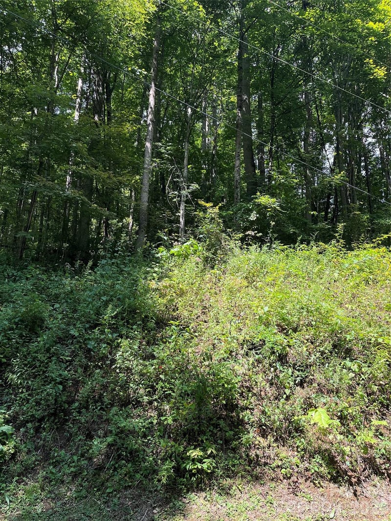 99999 Trillium End Ln #40, Waynesville, NC 28786