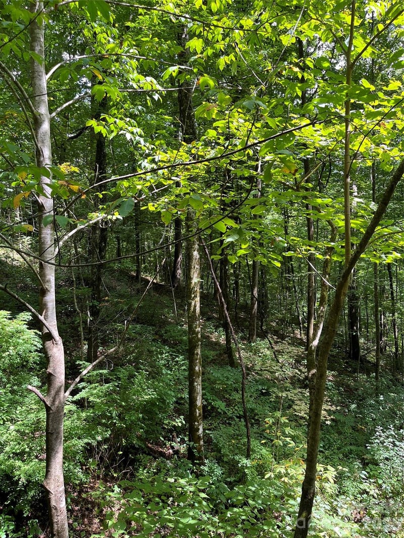 99999 Trillium End Ln #40, Waynesville, NC 28786