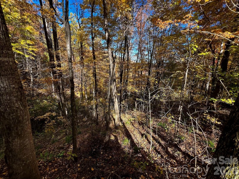 0000 Hemphill Rd #3, Waynesville, NC 28785