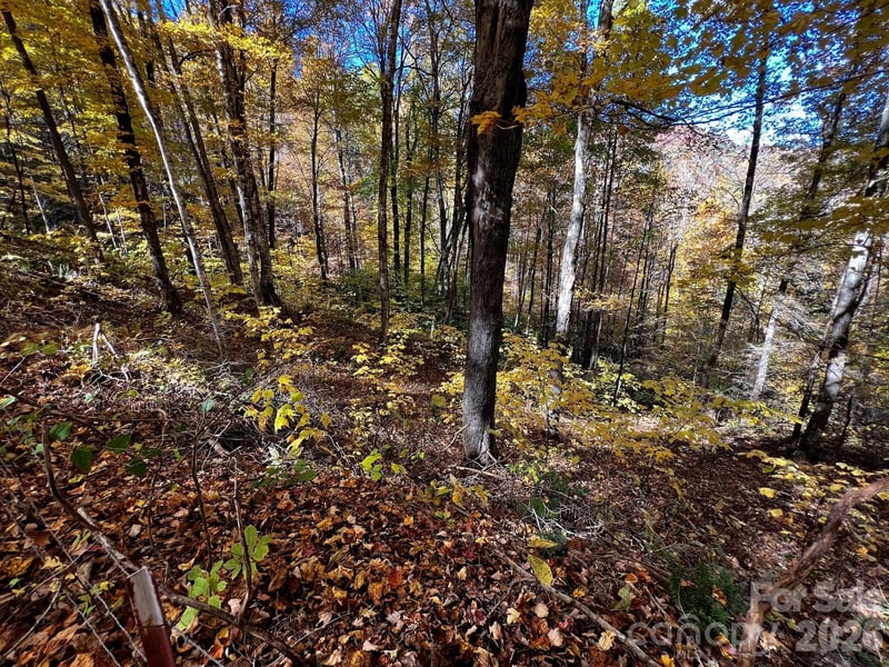0000 Hemphill Rd #3, Waynesville, NC 28785