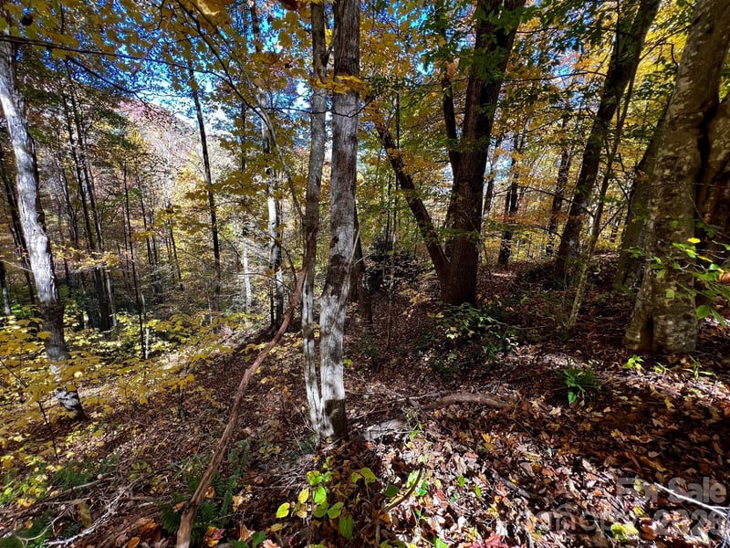 0000 Hemphill Rd #3, Waynesville, NC 28785