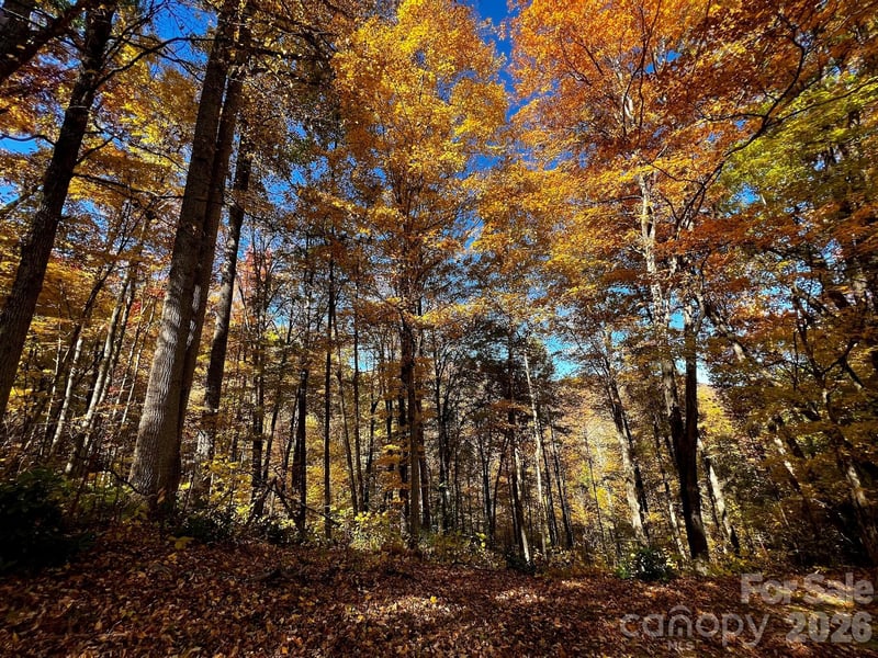 0000 Hemphill Rd #3, Waynesville, NC 28785