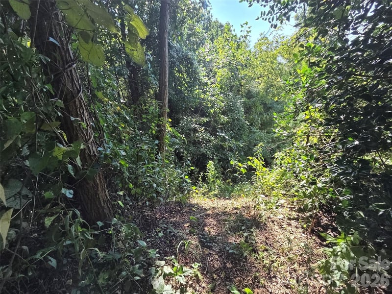 59 Summit Hill Rd, Hendersonville, NC 28791