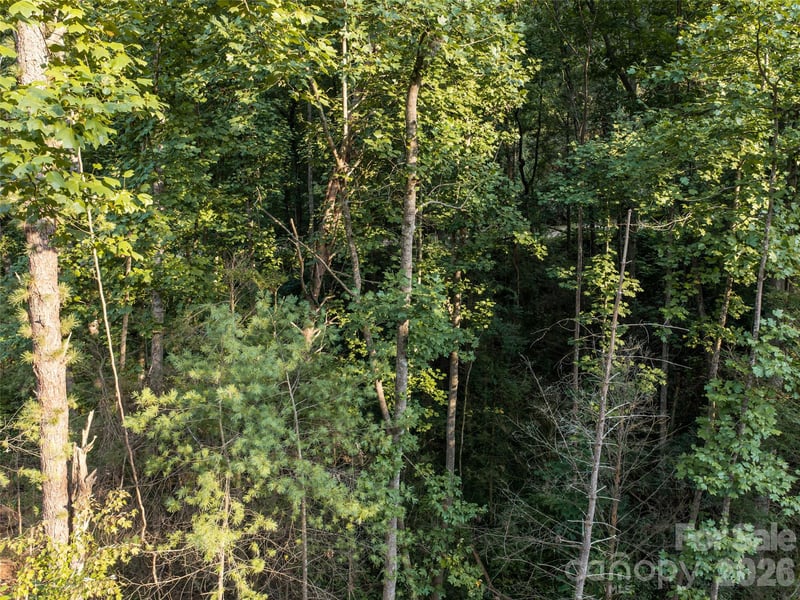 45 Jake Ridge Trl, Fletcher, NC 28732