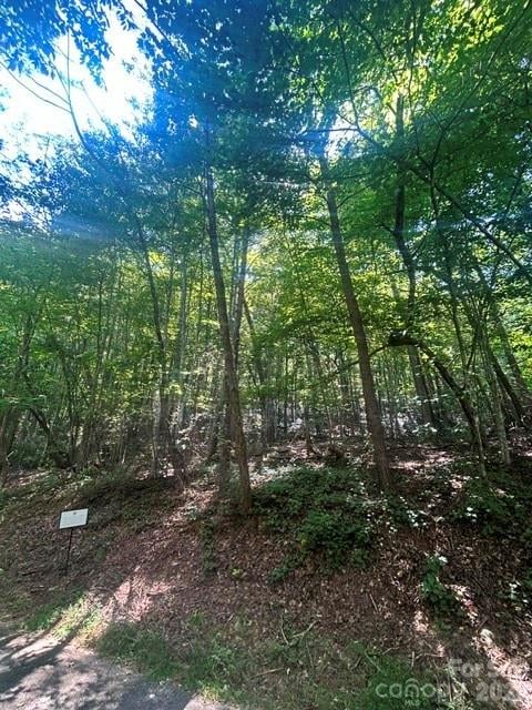 Lot 272 Hummingbird Ct, Lake Lure, NC 28746