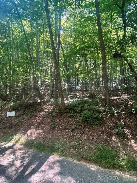 Lot 272 Hummingbird Ct, Lake Lure, NC 28746