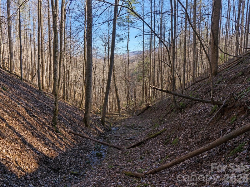 00 Lotties Creek Rd, Burnsville, NC 28714