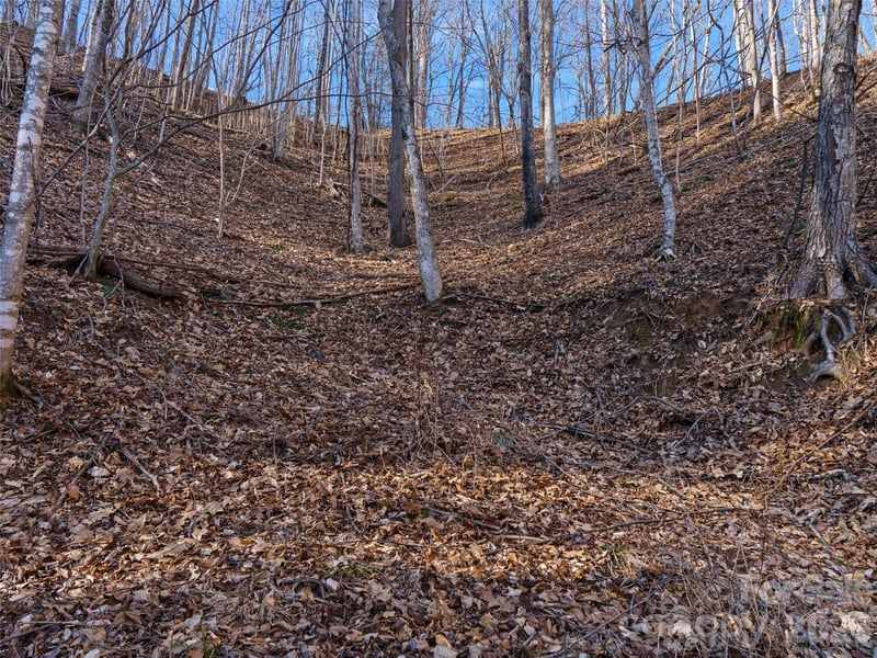 00 Lotties Creek Rd, Burnsville, NC 28714