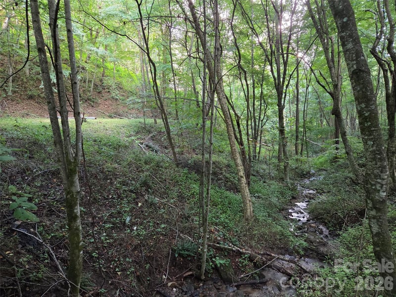 00 Creekside Dr, Maggie Valley, NC 28751