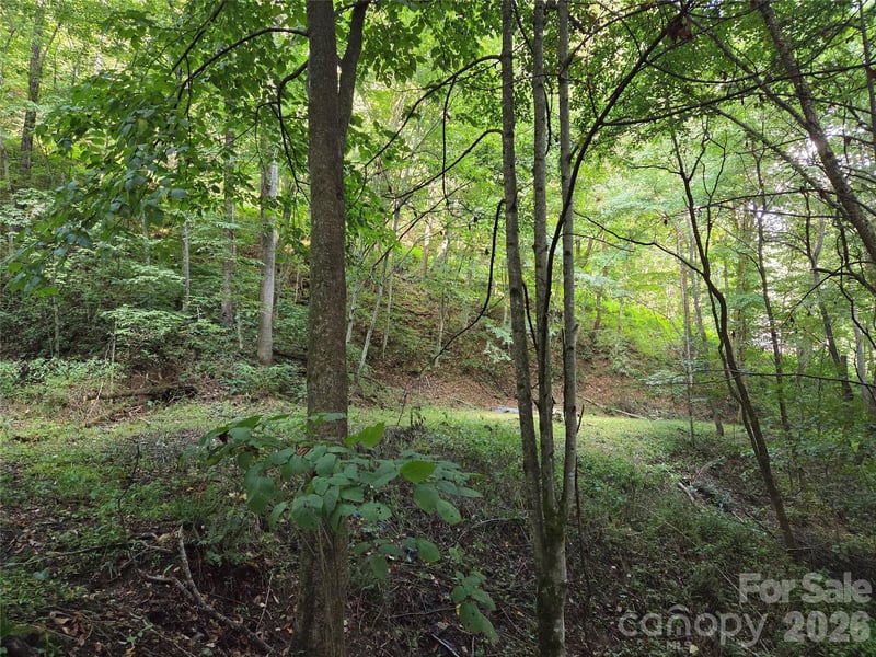00 Creekside Dr, Maggie Valley, NC 28751