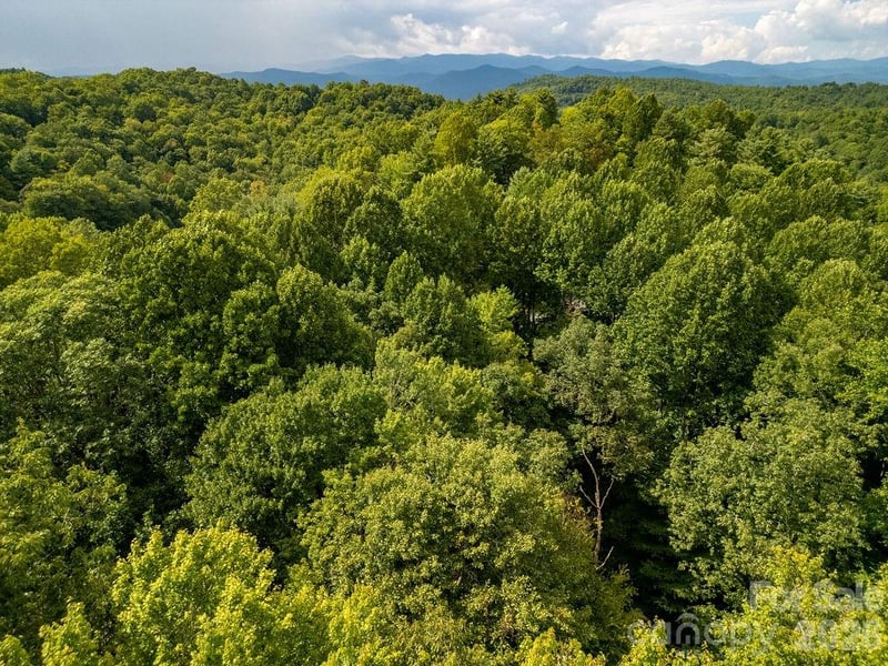 TBD Usdasdi Dr #044/21, Brevard, NC 28712