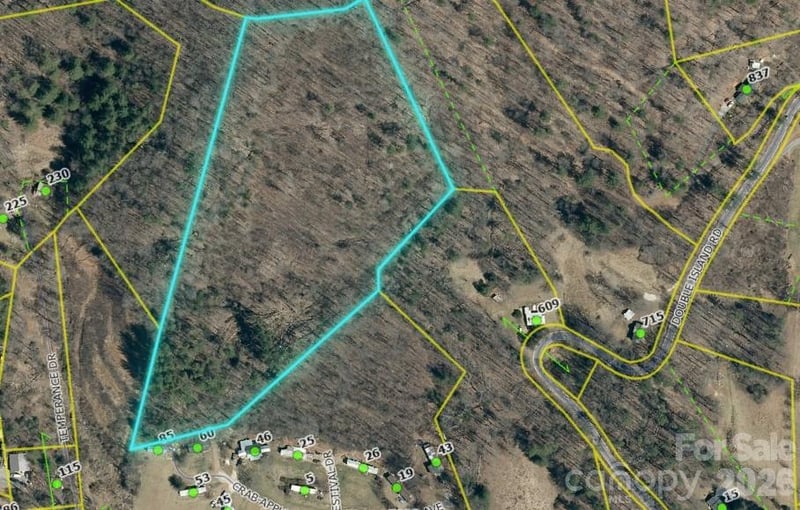 00 Crab Apple Dr, Burnsville, NC 28714