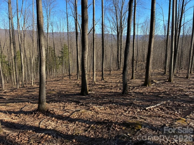 00 Crab Apple Dr, Burnsville, NC 28714