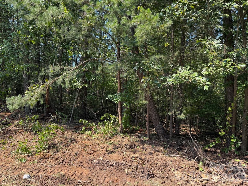 0 Katherine Dr, Denver, NC 28037