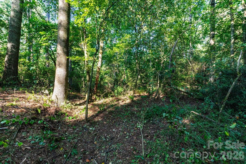246 Classic Oaks Cir #10, Hendersonville, NC 28792