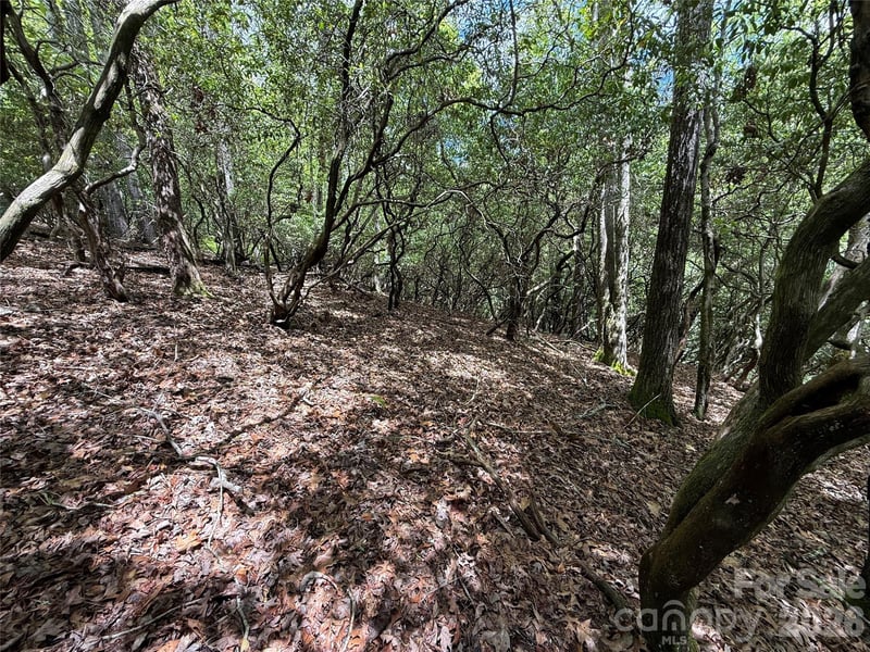 TBD Tellico Trl #42/22, Brevard, NC 28712
