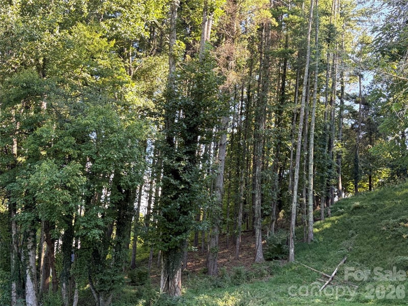 51 Barebridge Fields Rd #51, Burnsville, NC 2874
