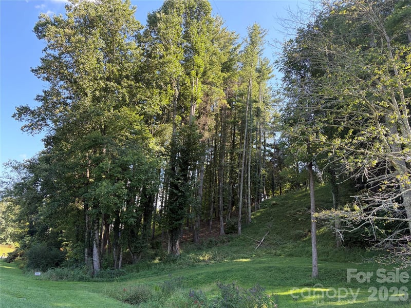 51 Barebridge Fields Rd #51, Burnsville, NC 2874