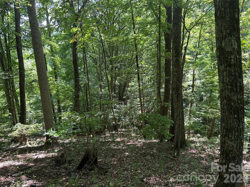 99999 Running Bear Rd, Hot Springs, NC 28743