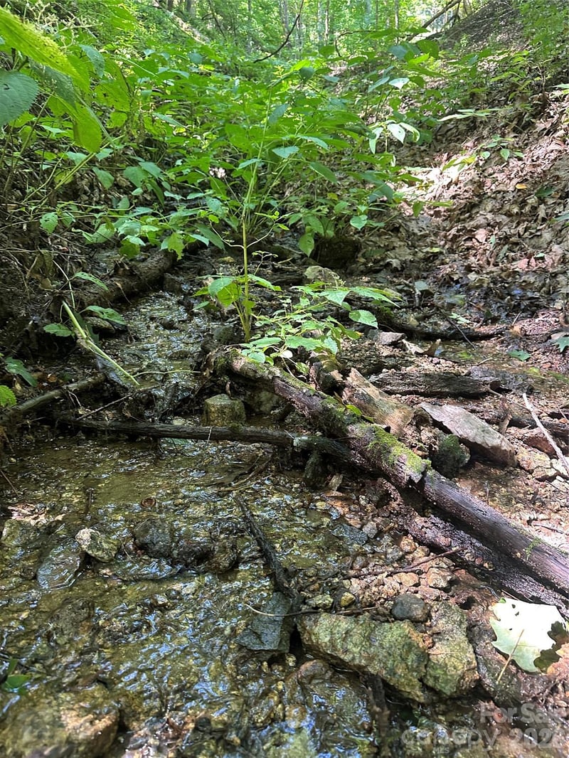 99999 Running Bear Rd, Hot Springs, NC 28743