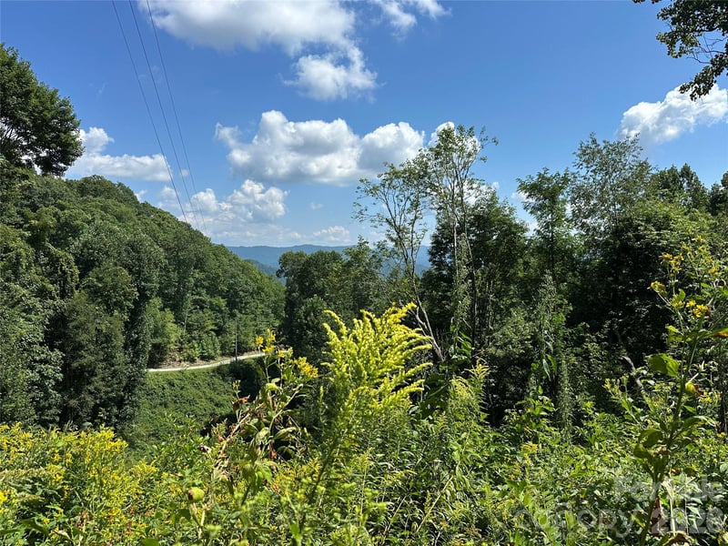 99999 Running Bear Rd, Hot Springs, NC 28743