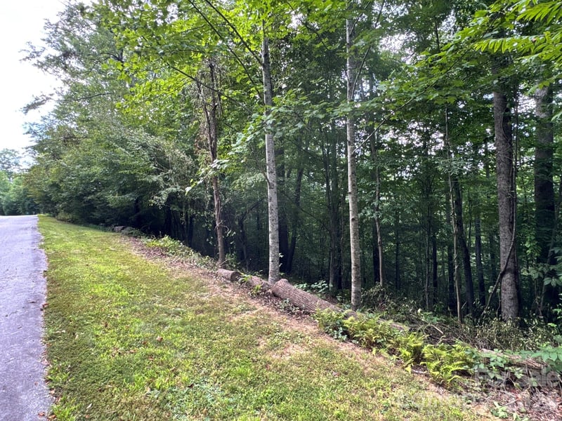 19 Garren View Dr, Fairview, NC 28730