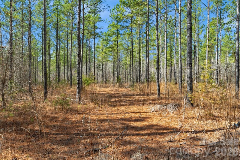 000 Peacehaven Rd #7, Mcconnells, SC 29726