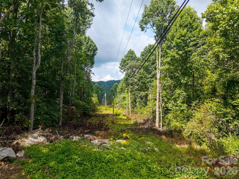 00 Sugar Cove Rd, Clyde, NC 28721