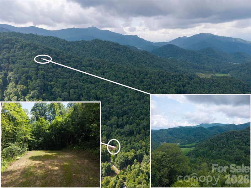 00 Sugar Cove Rd, Clyde, NC 28721