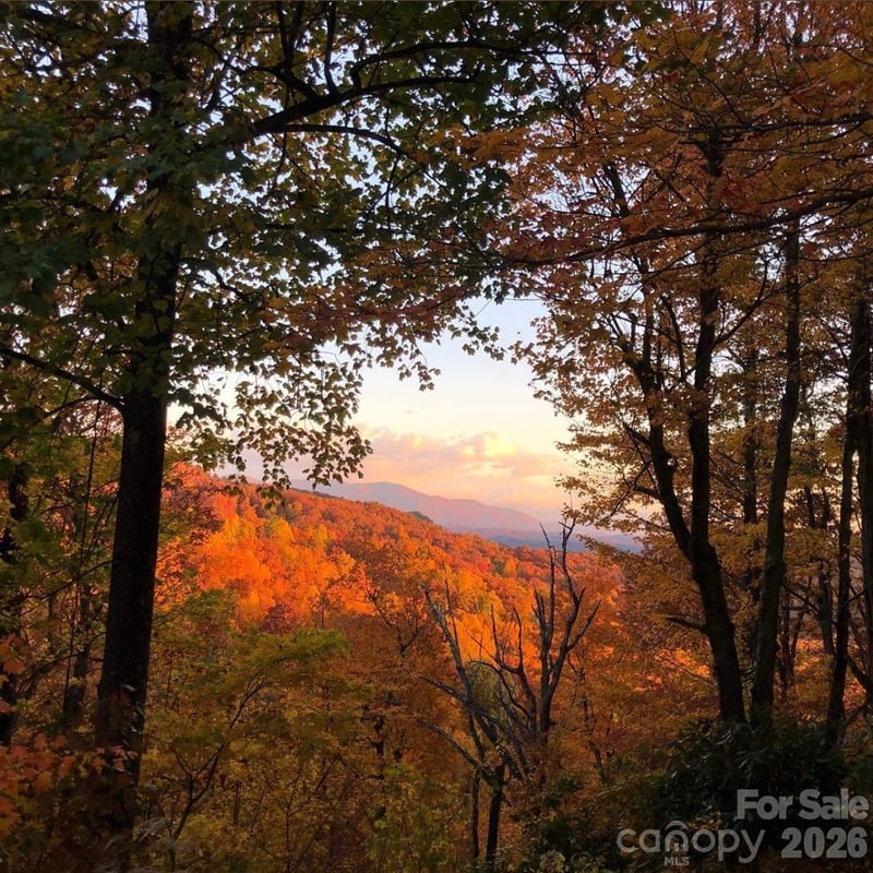 10 Camp Elliott Rd, Black Mountain, NC 28711