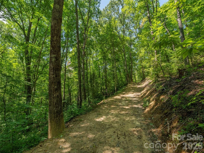 433 Rockmont Rd, Waynesville, NC 28785
