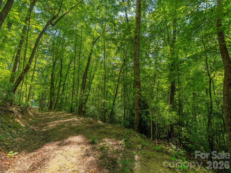 433 Rockmont Rd, Waynesville, NC 28785