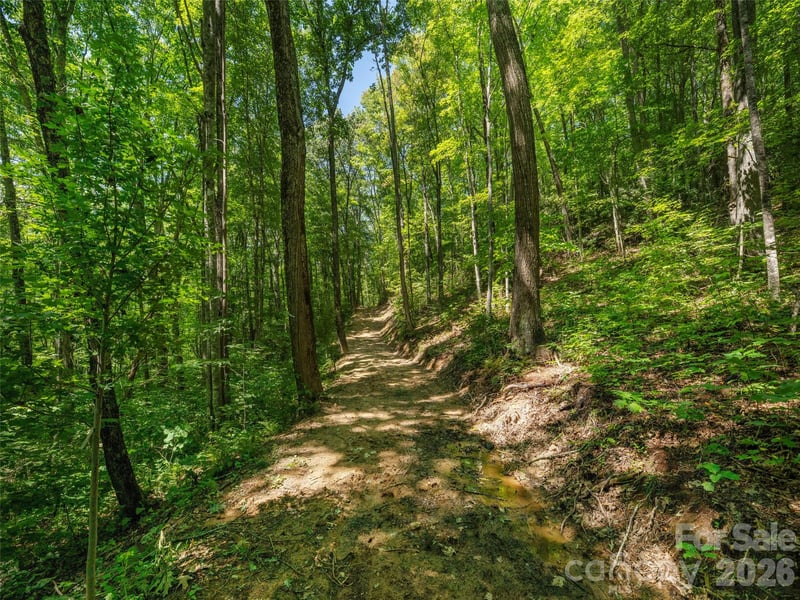 433 Rockmont Rd, Waynesville, NC 28785
