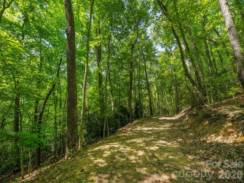 433 Rockmont Rd, Waynesville, NC 28785