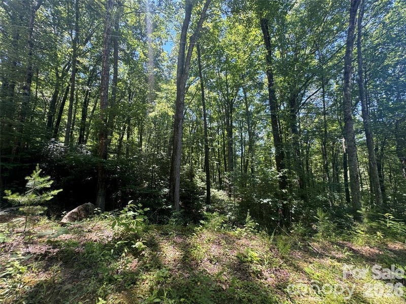 165 N Poplar Dr, Lake Lure, NC 28746