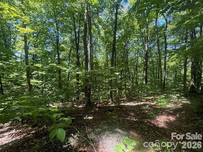 165 N Poplar Dr, Lake Lure, NC 28746