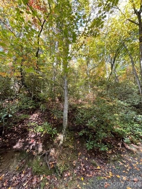 724 Blackgum Ct #350, Hendersonville, NC 28739