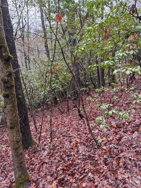 724 Blackgum Ct #350, Hendersonville, NC 28739