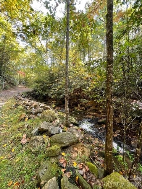 724 Blackgum Ct #350, Hendersonville, NC 28739