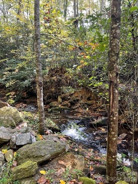 724 Blackgum Ct #350, Hendersonville, NC 28739