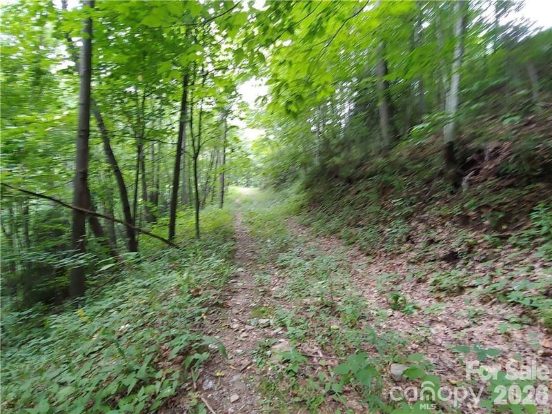 24 Tater Patch Rd, Maggie Valley, NC 28751