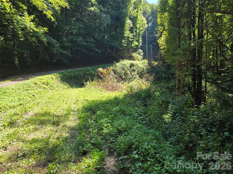 24 Tater Patch Rd, Maggie Valley, NC 28751