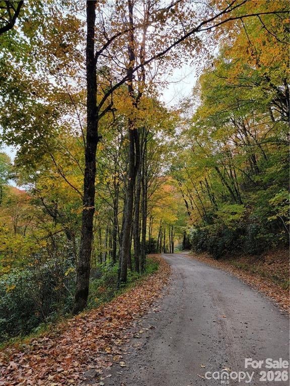 24 Tater Patch Rd, Maggie Valley, NC 28751