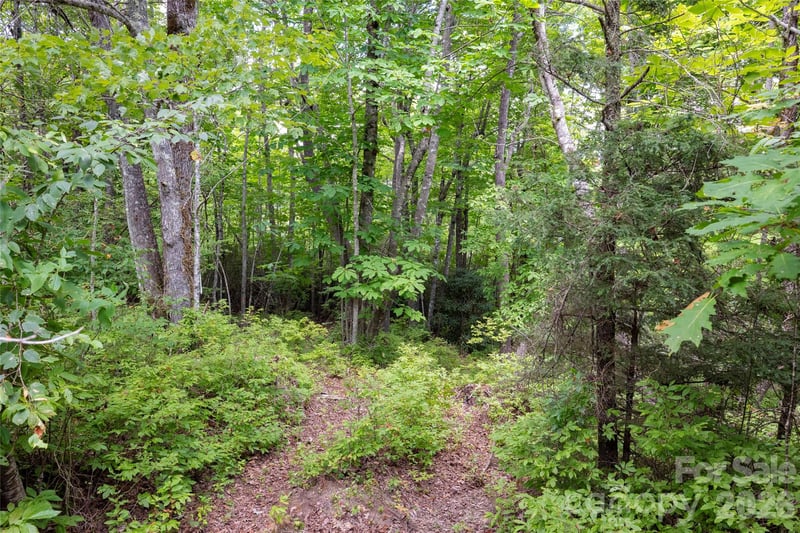 916 Meadow Ridge Dr, Lake Toxaway, NC 28747
