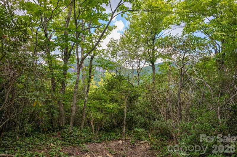 916 Meadow Ridge Dr, Lake Toxaway, NC 28747