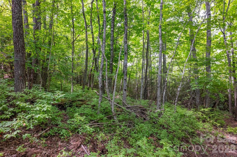 916 Meadow Ridge Dr, Lake Toxaway, NC 28747