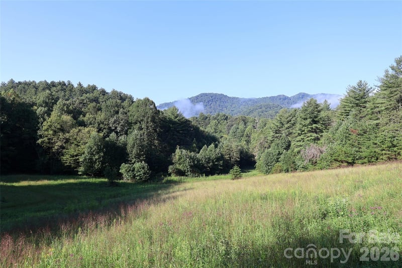 99999 Dream Valley Dr, Clyde, NC 28721