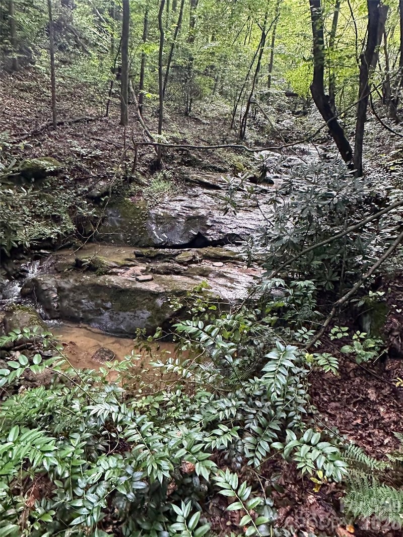99999 Dream Valley Dr, Clyde, NC 28721
