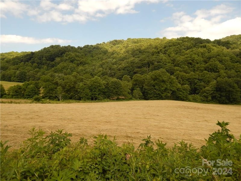 Nc 209 Hw, Hot Springs, NC 28743