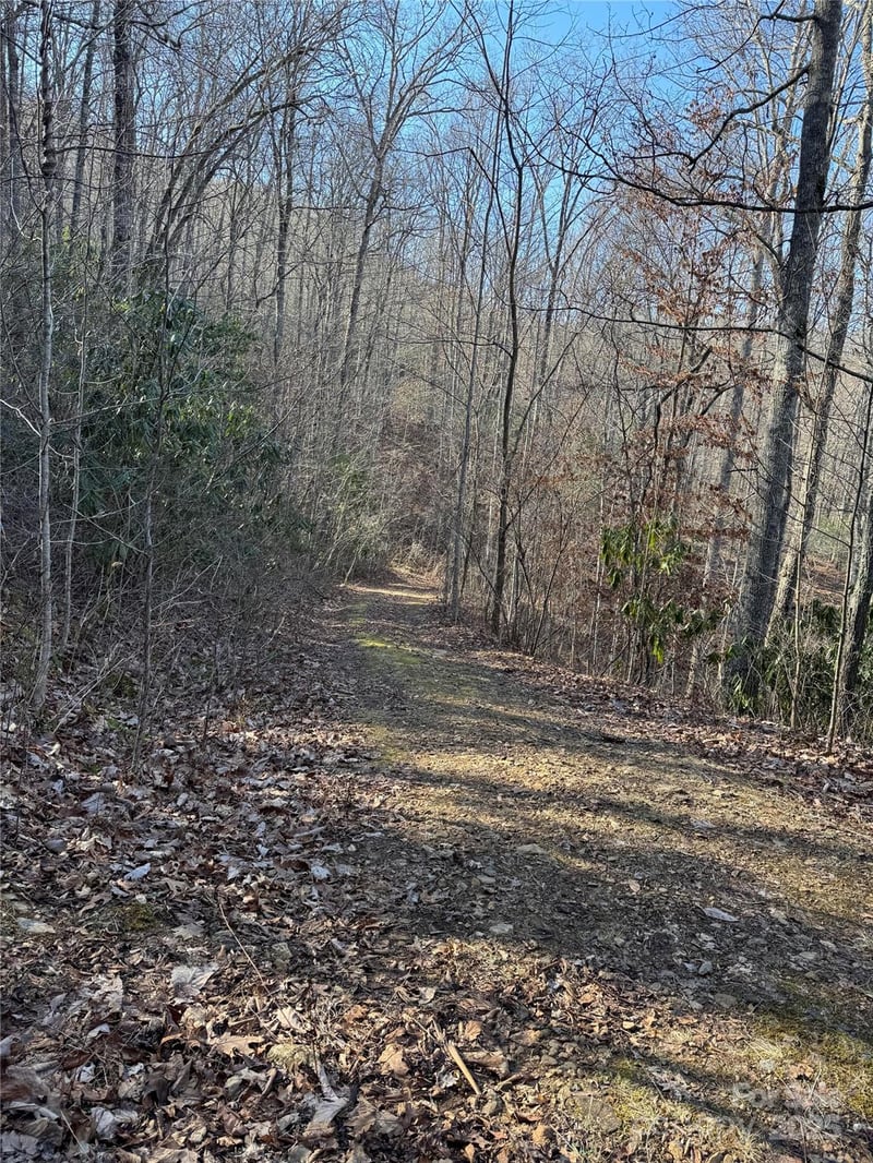 Country Club Dr #41, Cullowhee, NC 28723